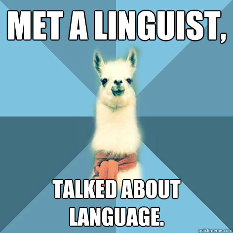 met a linguist, talked about language.  Linguist Llama