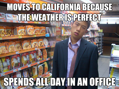 Moves to California because the weather is perfect Spends all day in an office  Disenchanted Young Professional