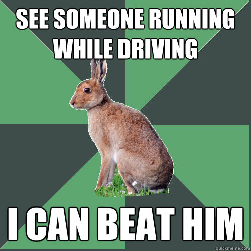 See someone running while driving I can beat him  Harrier Hare