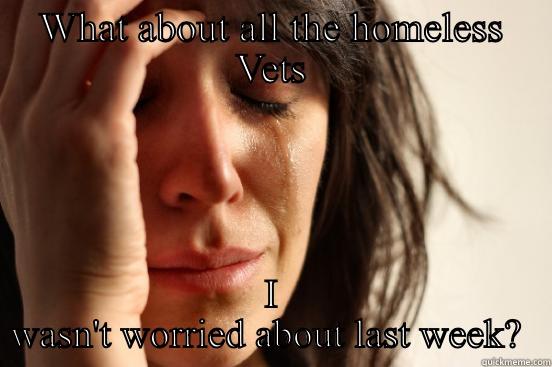 WHAT ABOUT ALL THE HOMELESS VETS I WASN'T WORRIED ABOUT LAST WEEK?  First World Problems