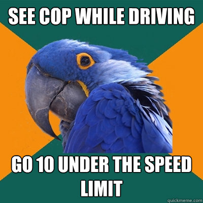 see cop while driving go 10 under the speed limit  Paranoid Parrot