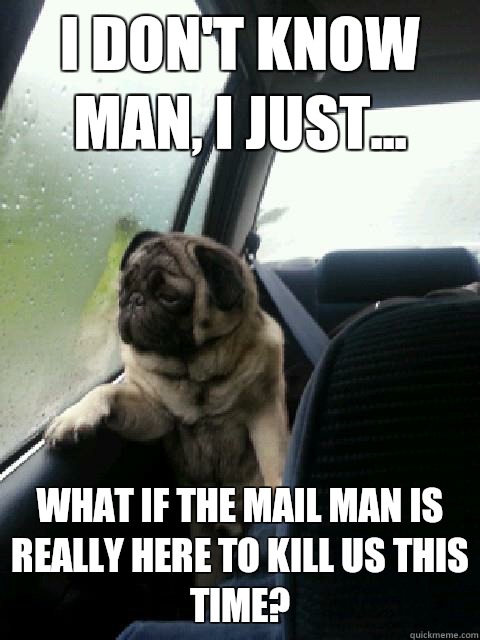 I don't know man, i just... What if the mail man is really here to kill us this time? - I don't know man, i just... What if the mail man is really here to kill us this time?  introspective pug on cesar millan