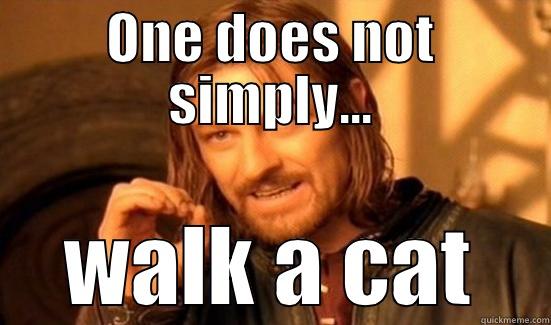 ONE DOES NOT SIMPLY... WALK A CAT Boromir