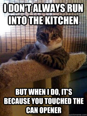 I don't always run into the kitchen but when I do, it's because you touched the can opener  The Most Interesting Cat in the World