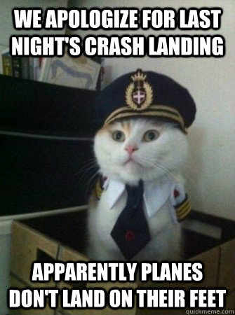 We apologize for last night's crash landing  Apparently Planes don't land on their feet - We apologize for last night's crash landing  Apparently Planes don't land on their feet  captain kitty