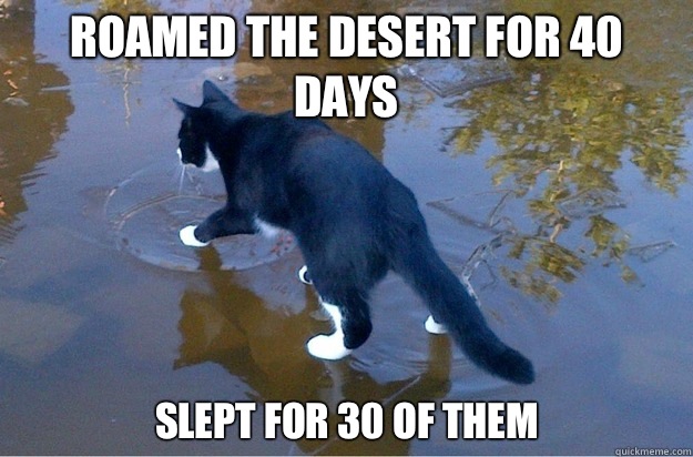 Roamed the desert for 40 days Slept for 30 of them  Jesus Cat