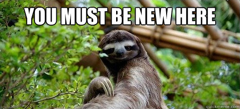 You must be new here  - You must be new here   sassy sloth