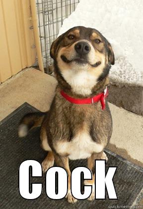  COCK Good Dog Greg