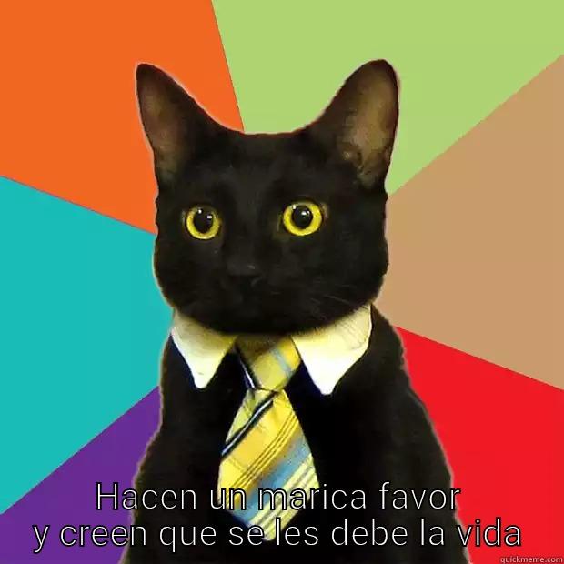 Estoy mamado de los que -  HACEN UN MARICA FAVOR Y CREEN QUE SE LES DEBE LA VIDA Business Cat