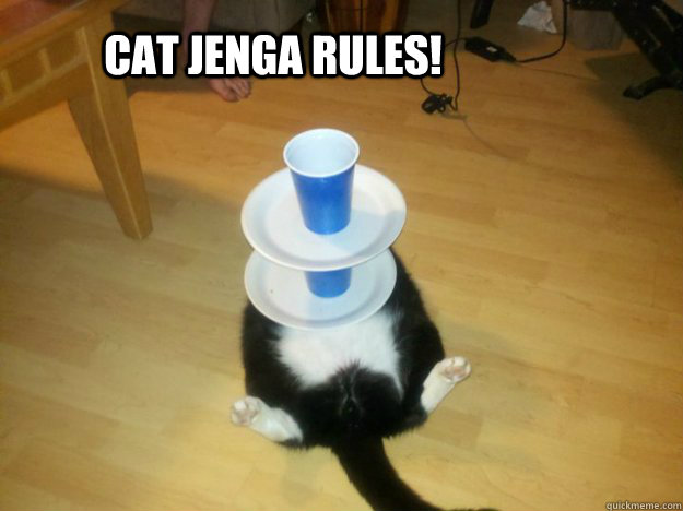 Cat Jenga Rules!  Jenga Cat