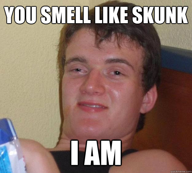 You smell like skunk I am  10 Guy