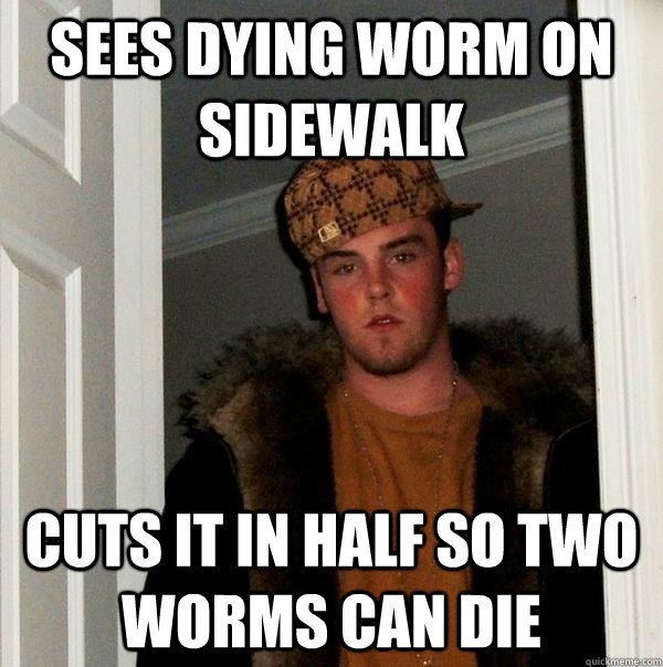 sees dying worm on sidewalk cuts it in half so two worms can die  Scumbag Steve