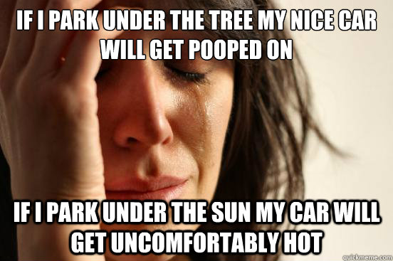 If I park under the tree my nice car will get pooped on If I park under the sun my car will get uncomfortably hot  First World Problems