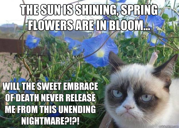 the sun is shining, spring flowers are in bloom... will the sweet embrace of death never release me from this unending nightmare?!?! - the sun is shining, spring flowers are in bloom... will the sweet embrace of death never release me from this unending nightmare?!?!  Cheer up grumpy cat