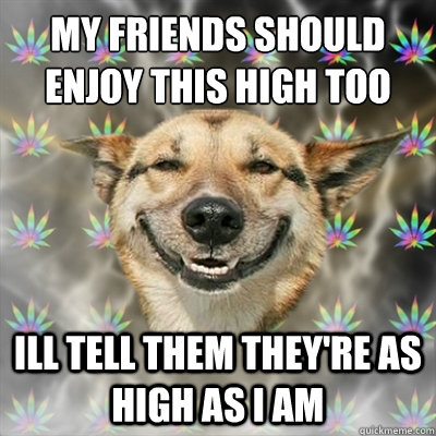 my friends should enjoy this high too ill tell them they're as high as i am  Stoner Dog