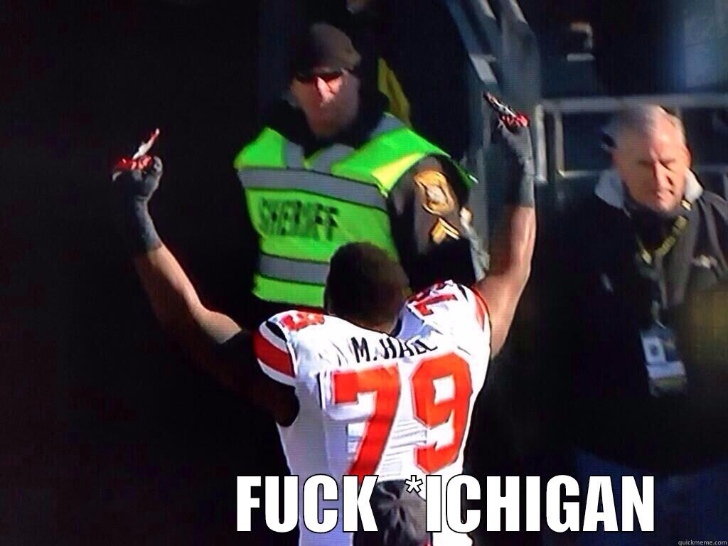                FUCK  *ICHIGAN Misc