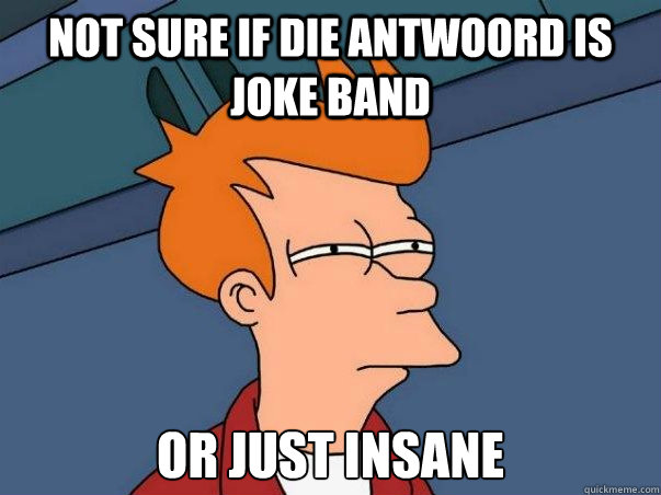 Not sure if Die Antwoord is joke band or just insane  Not sure Fry