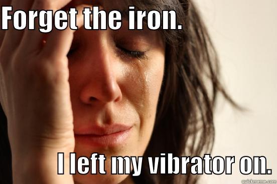 FORGET THE IRON.                                I LEFT MY VIBRATOR ON. First World Problems