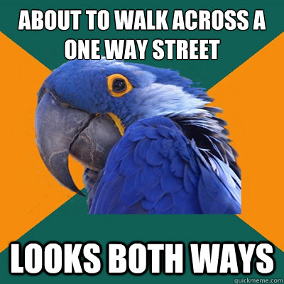 About to walk across a one way street Looks Both Ways  Paranoid Parrot