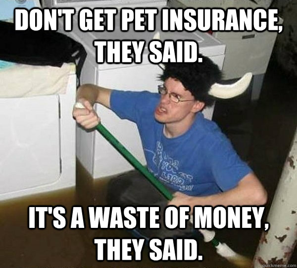 don't get pet insurance, they said. it's a waste of money, they said.  They said