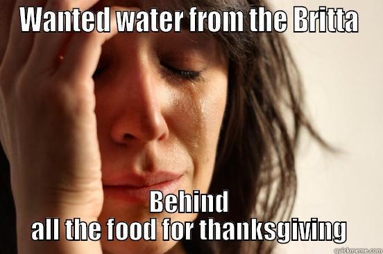 WANTED WATER FROM THE BRITTA BEHIND ALL THE FOOD FOR THANKSGIVING First World Problems