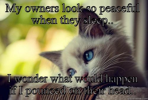 MY OWNERS LOOK SO PEACEFUL WHEN THEY SLEEP.. I WONDER WHAT WOULD HAPPEN IF I POUNCED ON THEIR HEAD.. First World Problems Cat