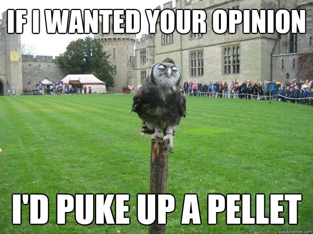 if i wanted your opinion i'd puke up a pellet  