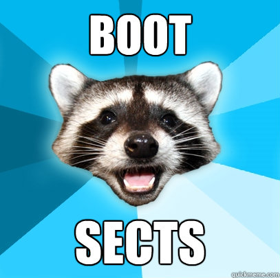 BOOT SECTS  Lame Pun Coon