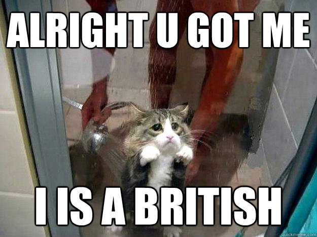 Alright u got me I is a british  Shower kitty