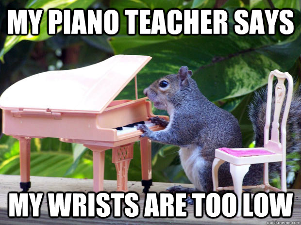 My piano teacher says my wrists are too low - My piano teacher says my wrists are too low  piano squirrel