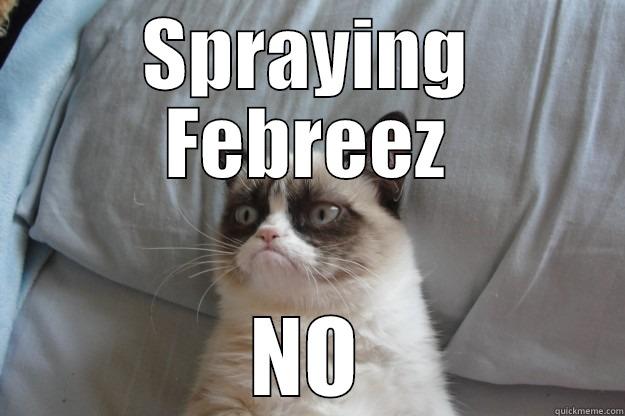 SPRAYING FEBREEZ NO Grumpy Cat