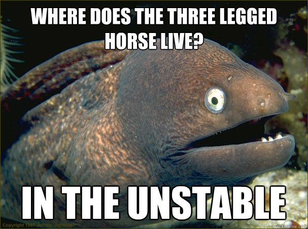 Where does the three legged horse live? in the unstable  Bad Joke Eel