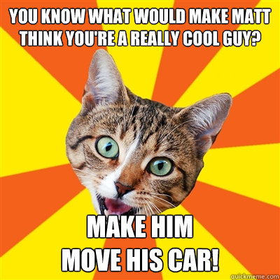 you know what would make matt think you're a really cool guy? make him
move his car! - you know what would make matt think you're a really cool guy? make him
move his car!  Bad Advice Cat