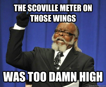 the scoville meter on those wings WAS TOO DAMN HIGH  Too Damn High