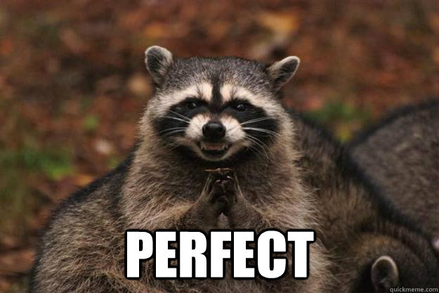  Perfect   Evil Plotting Raccoon