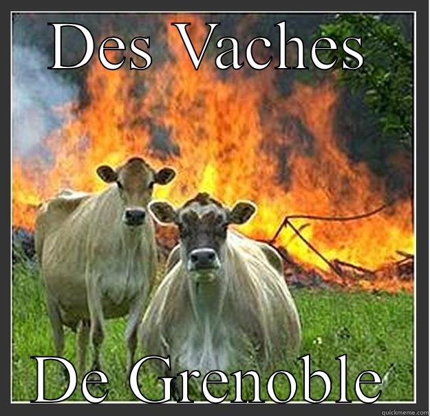 DES VACHES DE GRENOBLE Evil cows