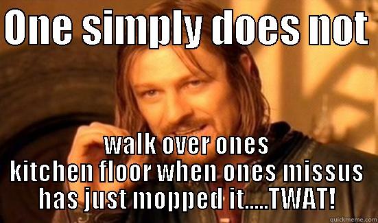 ONE SIMPLY DOES NOT  WALK OVER ONES KITCHEN FLOOR WHEN ONES MISSUS HAS JUST MOPPED IT.....TWAT! Boromir
