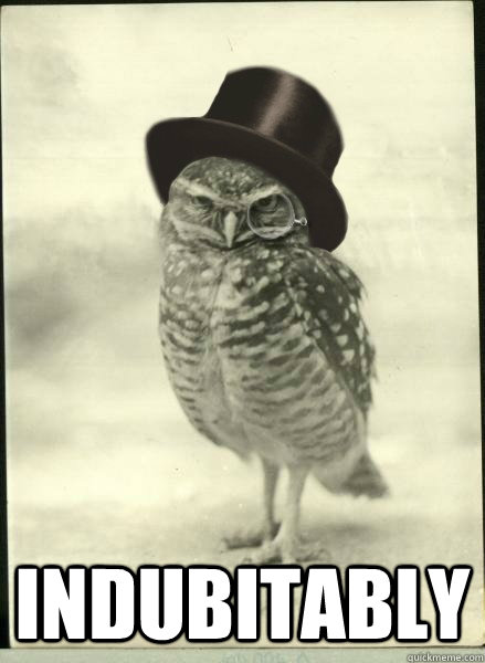  indubitably  Superb Owl