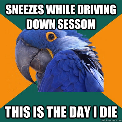 sneezes while driving down sessom this is the day i die  Paranoid Parrot