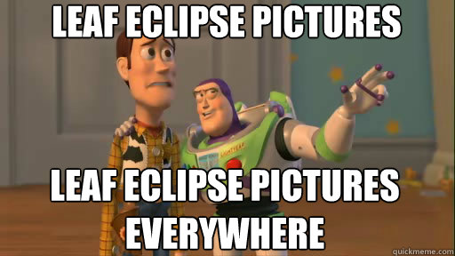 Leaf Eclipse Pictures leaf eclipse pictures everywhere  Everywhere