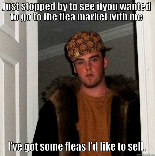 JUST STOPPED BY TO SEE IFYOU WANTED TO GO TO THE FLEA MARKET WITH ME I'VE GOT SOME FLEAS I'D LIKE TO SELL. Scumbag Steve