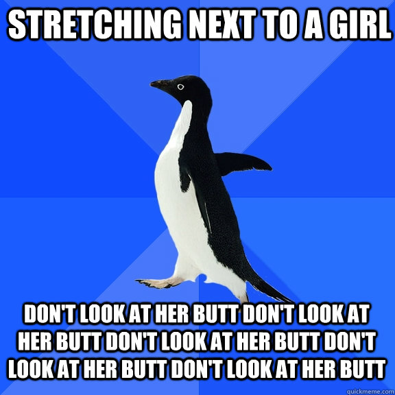 stretching next to a girl don't look at her butt don't look at her butt don't look at her butt don't look at her butt don't look at her butt   Socially Awkward Penguin
