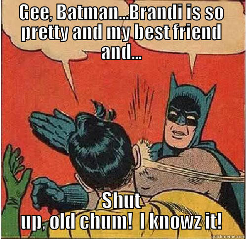 GEE, BATMAN...BRANDI IS SO PRETTY AND MY BEST FRIEND AND... SHUT UP, OLD CHUM!  I KNOWZ IT! Batman Slapping Robin