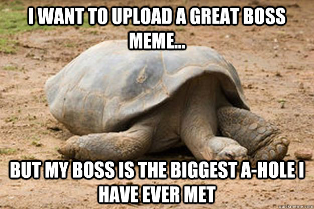 I want to upload a great boss meme... but my boss is the biggest a-hole I have ever met  Depression Turtle