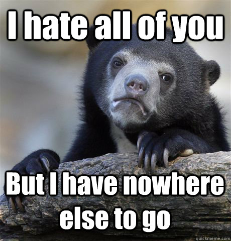 I hate all of you But I have nowhere else to go  Confession Bear