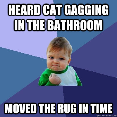 Heard cat gagging in the bathroom moved the rug in time  Success Kid