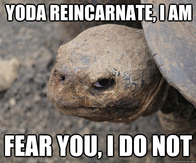 yoda reincarnate, I am fear you, I do not - yoda reincarnate, I am fear you, I do not  Insanity Tortoise