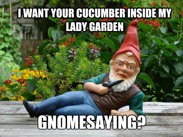 I want your cucumber inside my lady garden gnomesaying? - I want your cucumber inside my lady garden gnomesaying?  Sexy Gnome