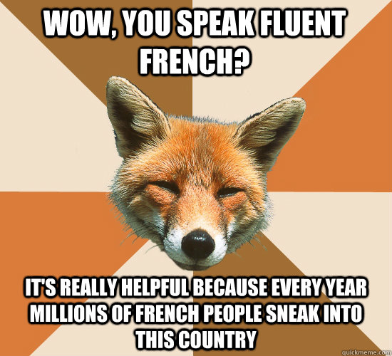 Wow, you speak fluent french? It's really helpful because every year millions of french people sneak into this country - Wow, you speak fluent french? It's really helpful because every year millions of french people sneak into this country  Condescending Fox