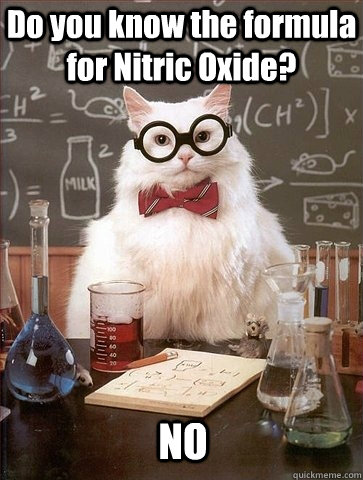 Do you know the formula for Nitric Oxide? NO  Chemistry Cat